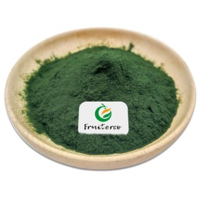 Wholesale Food Grade Marine Phytoplankton Oceanica Salina Nannochloropsis Powder Marine Phytoplankton Nannochloropsis Powder