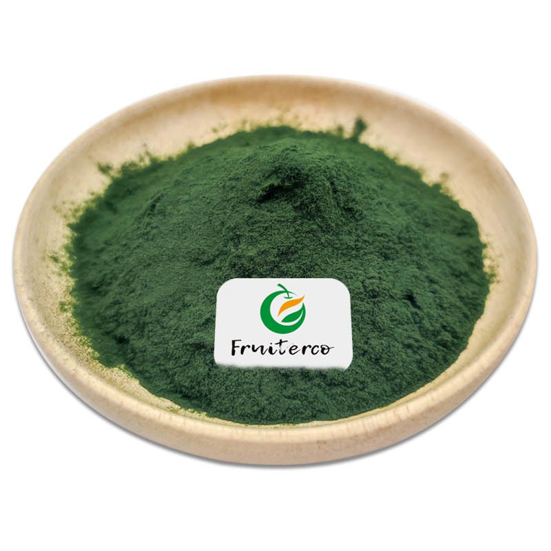Wholesale Food Grade Marine Phytoplankton Oceanica Salina Nannochloropsis Powder Marine Phytoplankton Nannochloropsis Powder