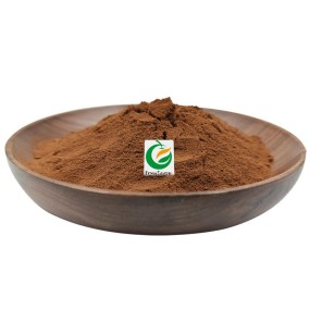 Fruiterco Tea Extract Powder Water Soluble Instant Black Tea Powder