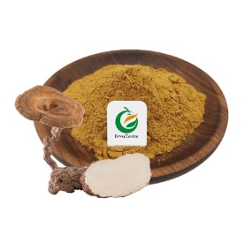 High Quality  Lignosus Rhinocerus Extract Tiger Milk Mushroom Extract Powder