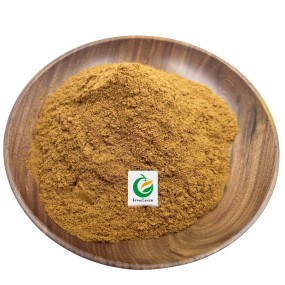Herb Extract 100% Natural Cassia Seed Powdered Extract 10:1 Cassia Seed Extract Powder