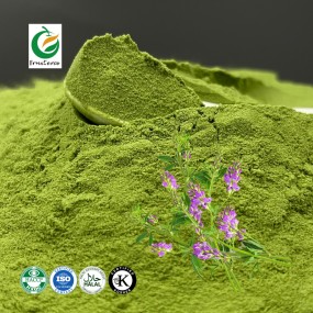 Fruiterco 200 Mesh Medicago Sativa Alfalfa Powder Alfalfa Grass Powder