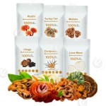 Private Label Organic Hericium Erinaceu Extract Lion's Mane Mushroom Extract Lions Mane Powder