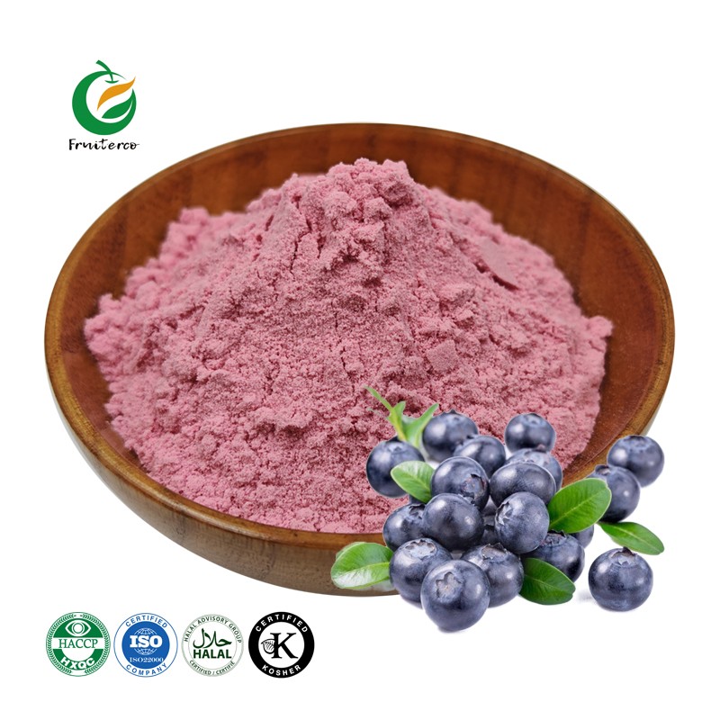 Fruiterco Natural 25% Anthocyanins Bilberry Fruit Extract Powder Bilberry Extract
