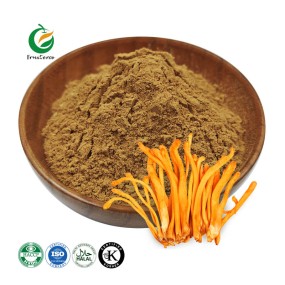 Fruiterco Cordyceps Militaris Mushroom Extract Powder Organic Cordyceps Militaris Extract