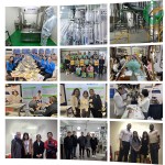 Fruiterco Food Grade 99% Magnesium Taurate Powder Magnesium Taurate
