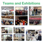 Food Grade Wholesale Pediococcus Pentosaceus Probiotics Food Supplement Pediococcus Pentosaceus