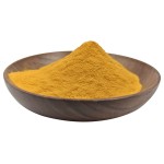 100% Pure Water Soluble Organic Green Tea Powder Instant Green Tea Powder
