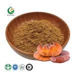 Fruiterco Lentinus Edodes Shiitake Mushroom Powder Shiitake Mushroom Extract