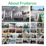 Fruiterco Supply Best Price Food Additive 99% Zinc Lactate Powder