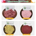 100% Pure Natural Organic Rose Petal Powder Food Grade Rose Juice Powder