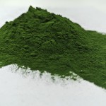 Green Sea Algae Peel Powder Pigmentation Remover for Face Hydrolyzed Sponge Spongilla Spicula Zena Algae Seaweed Peeling Powder