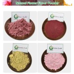 Private Label 100% Natural Rose Extract Rose Petal Powder Rose Powder