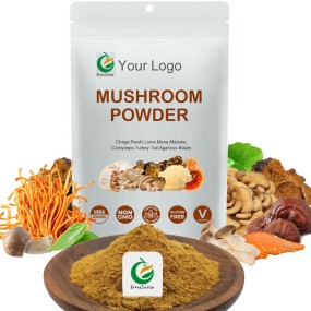 OEM Mixed Mushruoom Powder Blend Maitake,Chaga, Cordyceps,Lions Mane,Ganoderma Reishi Mushroom Organic Mushroom Extract Powder
