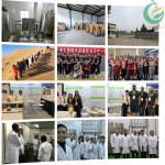 Fruiterco Food Grade 99% Magnesium Taurate Powder Magnesium Taurate