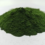Green Sea Algae Peel Powder Pigmentation Remover for Face Hydrolyzed Sponge Spongilla Spicula Zena Algae Seaweed Peeling Powder