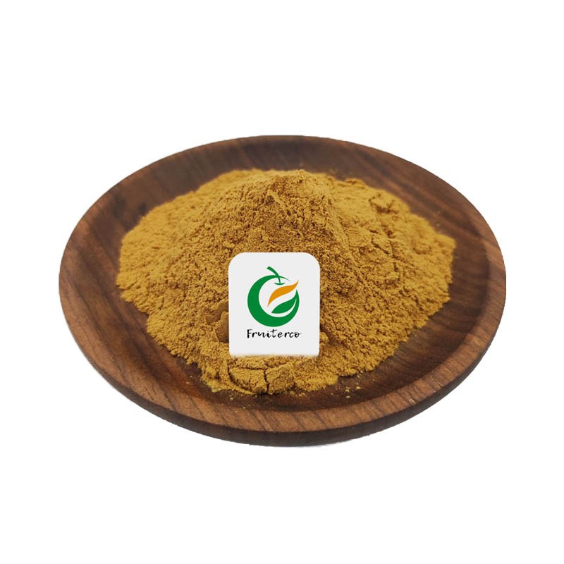 Rehmannia Glutinosa Extract Powder Rehmannia Glutinosa Extract