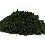 Wholesale Food Grade Marine Phytoplankton Oceanica Salina Nannochloropsis Powder Marine Phytoplankton Nannochloropsis Powder