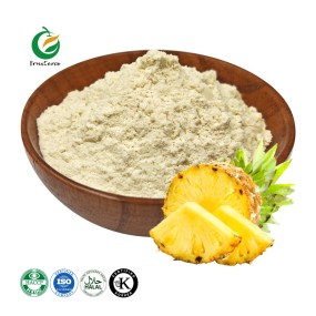 Fruiterco Pineapple Extract Pineapple Fruit Powder Freeze Dried Pineapple Powder