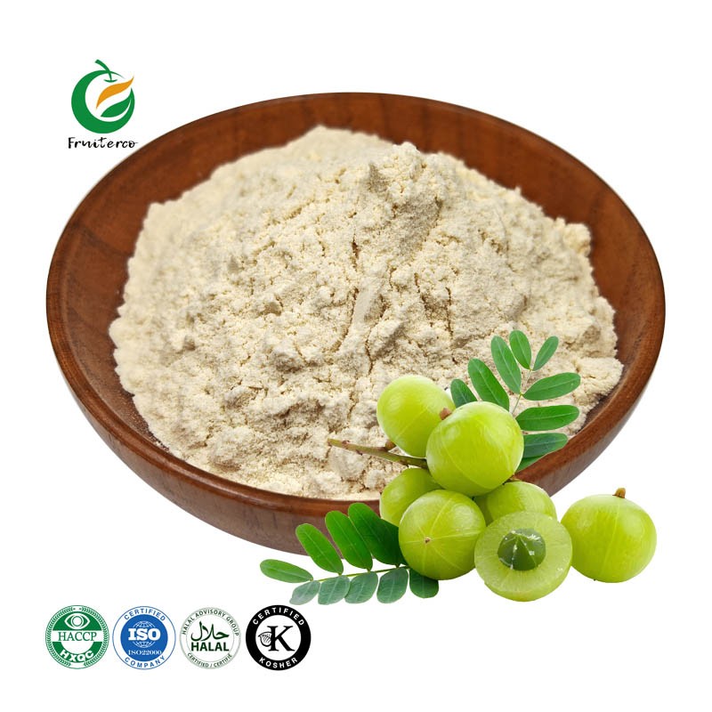 Fruiterco 100% Natural Phyllanthus Emblica Amla Extract Powder Organic Amla Fruit Powder