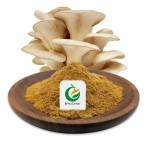 High Quality  Lignosus Rhinocerus Extract Tiger Milk Mushroom Extract Powder