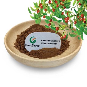 Chinese Jujube Fruit Extract Red Dates Extract Red Ziziphus Jujube Extract Powder