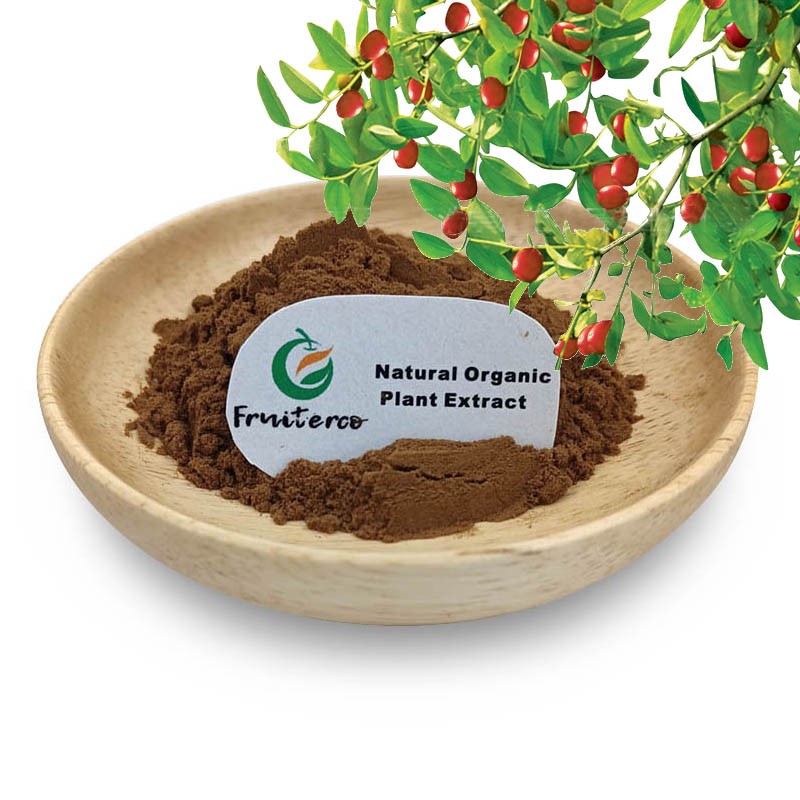 Chinese Jujube Fruit Extract Red Dates Extract Red Ziziphus Jujube Extract Powder