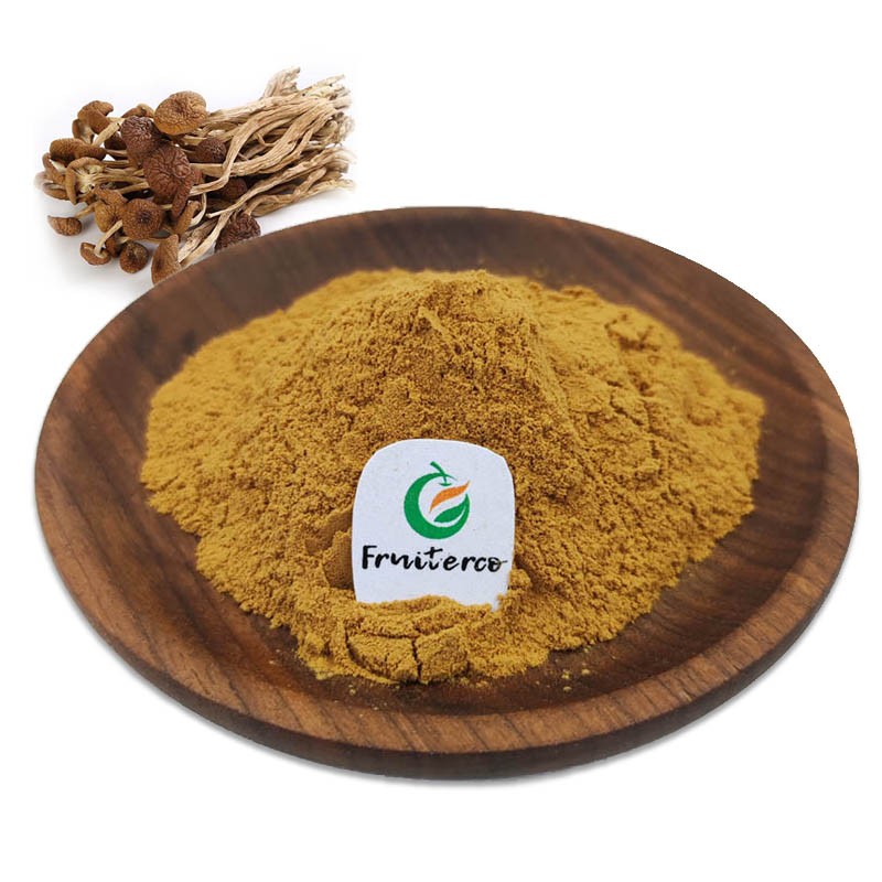 Fruiterco Halal Kosher Certified Agaricus Blazei Mushroom Extract Agaricus Blazei Extract
