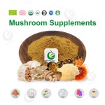 Private Label Organic Hericium Erinaceu Extract Lion's Mane Mushroom Extract Lions Mane Powder