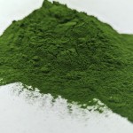 Green Sea Algae Peel Powder Pigmentation Remover for Face Hydrolyzed Sponge Spongilla Spicula Zena Algae Seaweed Peeling Powder