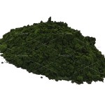 Wholesale Food Grade Marine Phytoplankton Oceanica Salina Nannochloropsis Powder Marine Phytoplankton Nannochloropsis Powder