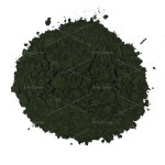 Wholesale Food Grade Marine Phytoplankton Oceanica Salina Nannochloropsis Powder Marine Phytoplankton Nannochloropsis Powder