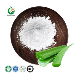 Wholesale Bulk 100:1 200:1 Freeze Dried Aloe Vera Gel Powder Aloe Vera Powder