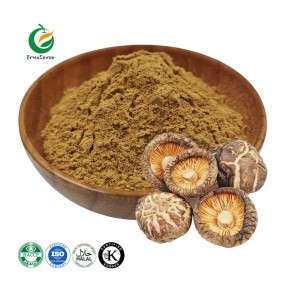 Fruiterco Lentinus Edodes Shiitake Mushroom Powder Shiitake Mushroom Extract