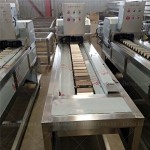 Farm Tractor Supplier - High Quality 50 HP 4x4 Agriculture