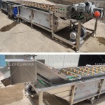 Leafy Washer Manufacturer - Continuous Non-stop Bubble Cleaning