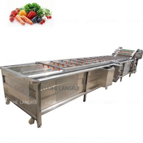 Vegetable Washer Factory - Washing Fruits and Fruit Production Line