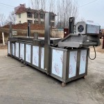 Snack Fryer Factory - Industrial Temperature Control Oil
