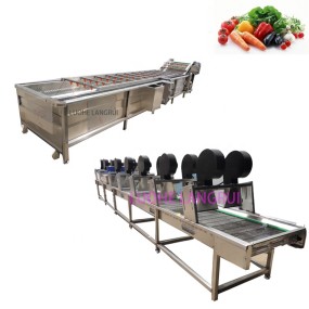 Leafy Washer Manufacturer - Continuous Non-stop Bubble Cleaning