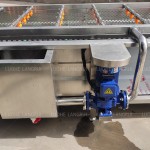 Lettuce Washer Manufacturer - Spring Onion Vegetable Fruit Line