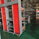 Chicken Cages Factory - Full Automation Poultry Egg Layer