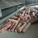 Corn Husk Remover Manufacturer - Fully Automatic Industrial Stainless