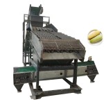Corn Husk Remover Manufacturer - Fully Automatic Industrial Stainless