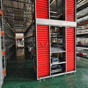 Poultry Farm Cage Supplier - High Quality H Type 10000 Birds