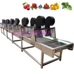 Lettuce Washer Manufacturer - Spring Onion Vegetable Fruit Line