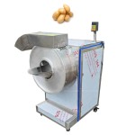 French Fry Line Manufacturer - Semi Automatic Small Scale Price