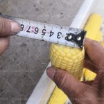 Used Tractor Factory - Factory Direct Sale 50-120Hp Second-hand