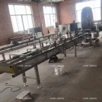 Spring Roll Machine Factory - Roller Skin Modern Production Line