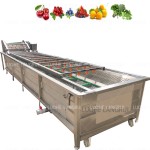 Vegetable Washer Factory - Washing Fruits and Fruit Production Line