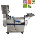 Fruit Chopper Manufacturer - High Output Electric Leafy Bulb Slicer